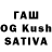 MDMA Molly Dachnik1984